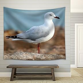 Portrait of a Seagull - Fabric Wall Tapestry Home Decor - 51x60 inches
