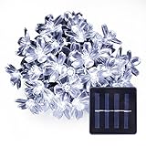 LE Christmas Solar String Lights, 23ft 50 LED, Waterproof, Daylight White, Blossom Light Sensor, Fairy String Lights, Outdoor Wedding Party Patio Festival Celebration Thanksgiving Decoration