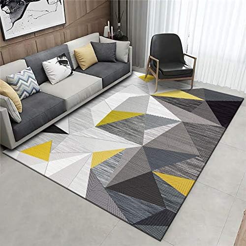 XUEKEDEDIANPU Nordic Modern Simple Area Rug Geometric Rectangular Living Room Floor Mat Bedside Bedroom Carpet-f 79x118inch(200x300cm)