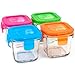 Wean Green Wean Cubes Baby Food Glass Containers - Garden Pack Featuring Raspberry, Blueberry, Pea, Carrot