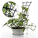 GREENWISH 4pcs 9x3inch Mini Plant Trellis Plastic Garden Plant Support DIY Climbing Trellis Flower Supports Dark Green