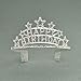 SWEETV Happy Birthday Tiara Crown for Girls & Women, Rhinestone Bday Crown with Comb, Crystal Birthday Party Hat Gift Princess Headpieces, Clear