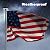 Flag Pole Light, American Flag Solar Lights 26 LED Weatherproof Auto ON/OFF Night Light Downlight for 15 to 25ft Flag Pole