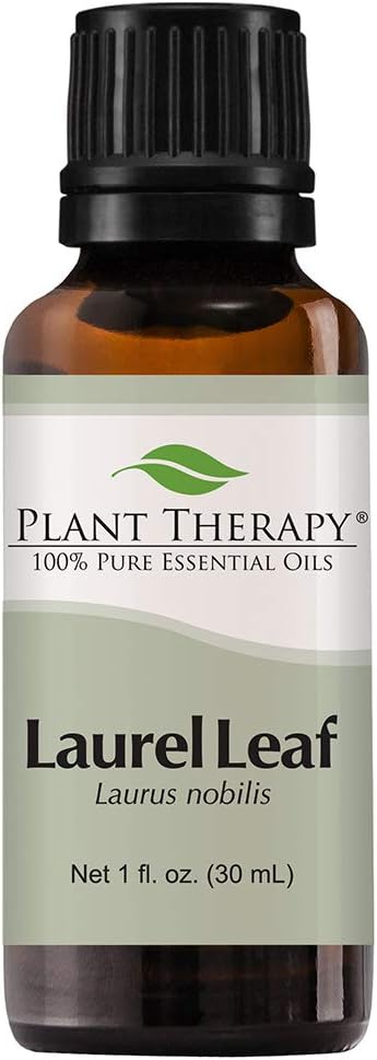 Plant Therapy Laurel Leaf Essential Oil 30 mL (1 oz) 100% Pure, Undiluted, Therapeutic Grade