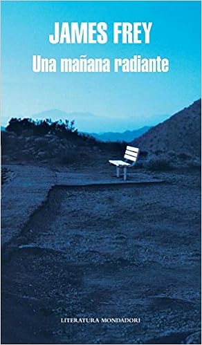 Una mañana radiante - James Frey