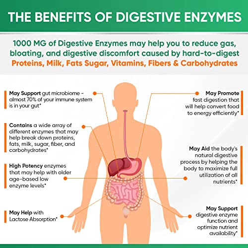 Wholesome Wellness Digestive Enzymes 1000MG Plus Prebiotics