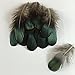 Sowder 50pcs Green Pheasant Plumage Feathers 1.5-3 Inches Home Wedding Decoration