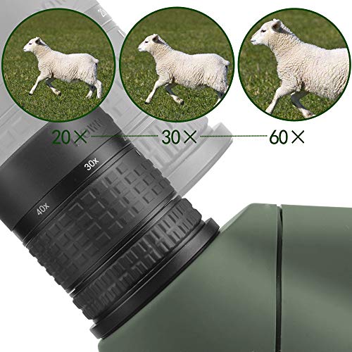 LANDOVE Upgrade Prism Spotting Scope - 20-60X65mm BAK4 Waterproof Angled Spotting Scope with Tripod and Smartphone Holder for Target Shooting Bird Watching Hunting Archery Wildlife Observing - Thumbnail 3