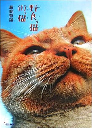 野良っ猫 街っ猫 藤範 智誠 本 通販 Amazon
