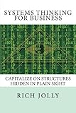 Systems Thinking for Business: Capitalize on Structures Hidden in Plain Sight cover