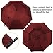 Rainlax Windproof Golf umbrella 62 Inch Extra Large Double Canopy Automatic Open Outdoor Rain&Wind Umbrellas (Wine)