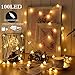 100 LED Globe String Lights, Ball Christmas Lights, Indoor / Outdoor Decorative Light, USB Powered, 39 Ft, Warm White Light - for Patio Garden Party Xmas Tree Wedding Decoration (NO INCLUE USB PLUG)