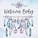 Welcome Baby: Baby Shower Guest Book Cute Boho Feather Woodland Theme (With Bonus Gift Log, Size 8.5x8.5) by 