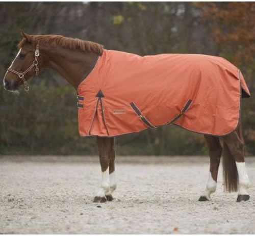 Waldhausen Outdoor Blanket Economic 100g