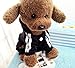 Idepet(TM) Adidog Pet Dog Cat Clothes 4 Legs Cotton Puppy Hoodies Coat Sweater Costumes Dog Jacket (L, Black)