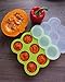 Fall Sale - TUTTI BIMBI Baby Food and Breastmilk Storage Container for Puree and Baby Led Weaning - Mom approved Freezer Tray with Silicone Clip-on Lid - BPA Free - 2 Heat Sensitive Spoons