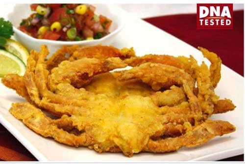 Handy Soft Shell Corn Dusted Wild Caught Whale Crab -- 24 per case.