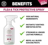 C&G Pets Dog Fleas Protection Spray 500ML Natural Avocado Coat Conditioner view 2
