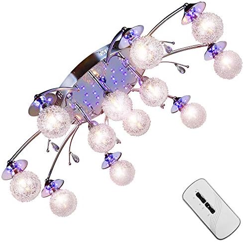 XXL led ceiling lamp rc controller & color change light ร89cm chandelier fitting with led bulbs