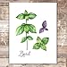Botanical Prints Kitchen Herbs Wall Art - (Set of 6) - Unframed - 8x10s