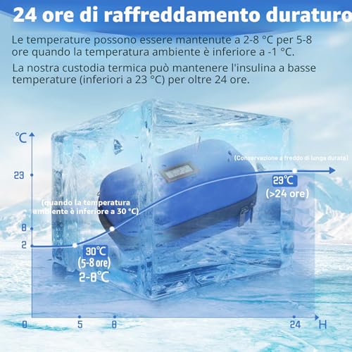 HIMDUZE TSA Approved Travel Insulin Cooler Bag Portable Diabetic Medication Cooler Bag with Temperature Display (Celsius), Refrigerated Medication Organizer with 2 Ice Packs