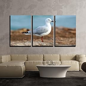 3 Piece Canvas Wall Art - Portrait of a Seagull - Modern Home Art Stretched and Framed Ready to Hang - 16"x24"x3 Panels