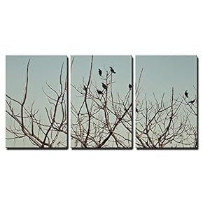 3 Piece Canvas Wall Art - Group of Crows Sitting on The Bare Branches of a Tree Against The Sky - Modern Home Art Stretched and Framed Ready to Hang - 16"x24"x3 Panels