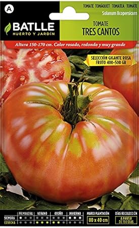 Semillas Hortícolas - Tomate Ace 55 VF - Batlle: Amazon.es: Jardín