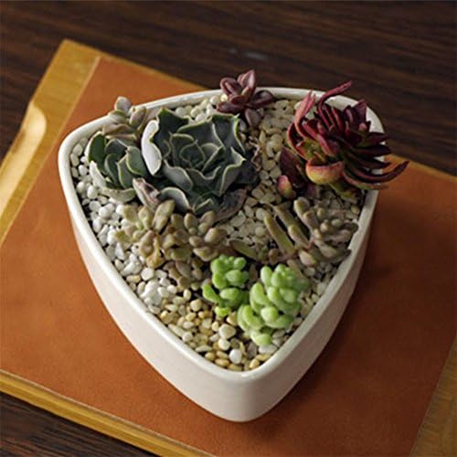 Netral Ceramic White Sucuulent Plant Pot, Planter Pot /Small Decorative Display Bowl (D010)