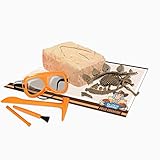 Paleo Expedition - Dino Excavation Kit - Stegosaurus