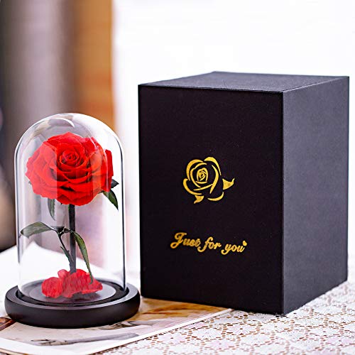 Eternal Flower, Preserved Stemmed Rose Flower in Glass Dome for