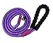yueton Adjustable Loop Slip Lead Rope Pet Dog Reflective Stripe Nylon Leash with Sponge Handle (Purple)