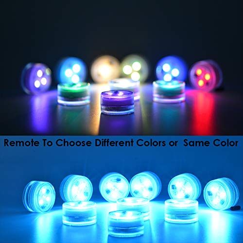2 SEED+Submersible+Exclusive+Waterproof+Centerpieces