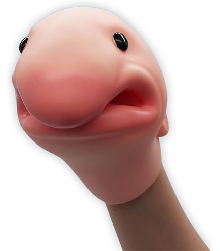 215568_4