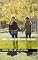 Livro Novela amor entre duas mulheres