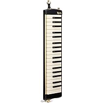 Suzuki B-24 Bass Melodion : Amazon.ca: Musical Instruments