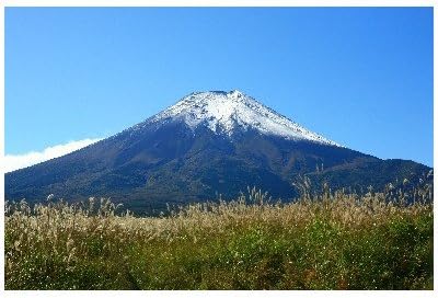 Amazon ポストカード 山梨県富士吉田市 北富士演習場から見た富士山とススキ フォトカード絵はがき ポストカード 絵柄付はがき 文房具 オフィス用品