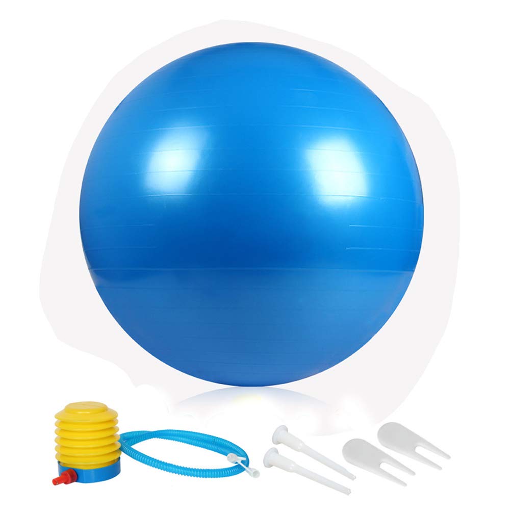 ZHIYE Blue Pilates Ball 65 CM Yoga Exercise Ball Core Fitness Bender, Yoga, Stability, Barre, Training Physical Therapy Swiss Ball Gym Home