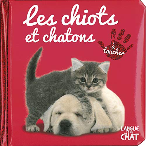 Amazonfr Bébé Touche à Tout Les Chiots Et Chatons Léa