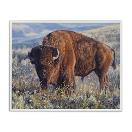 Stupell Industries Prairie King Bison Framed Giclee Art Design by © David Graham