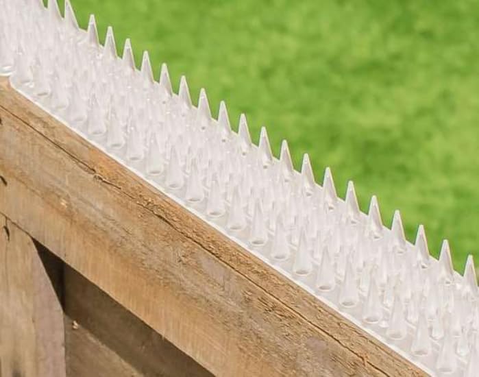 Primrose Fence Spikes - Cat Garden Wall Security Anti Climb Detterent Spike Strips - Clear - Pack of 10