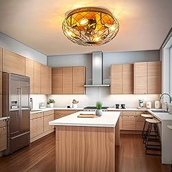 REDSTAR Modern Low Profile Cage Ceiling Fan with