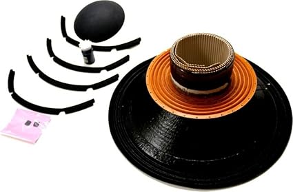 b&c 21 inch subwoofer