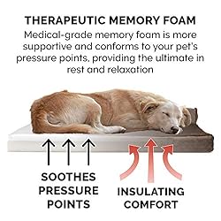 Furhaven Memory Foam Dog Bed for Medium/Small Dogs