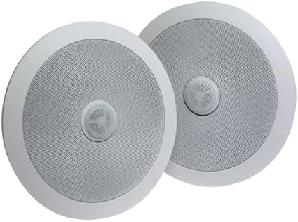 round ceiling speakers
