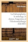 Image de La Galvanoplastie, le nickelage, la dorure, l'argenture et l'électrométallurgie (Savoirs Et Traditions) (French Edition)