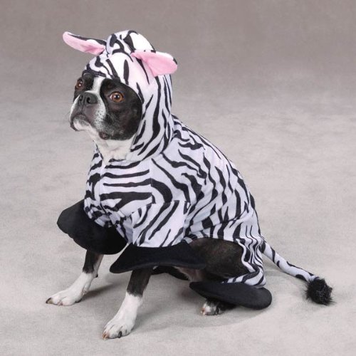 Zack & Zoey Zebra Pet Costume