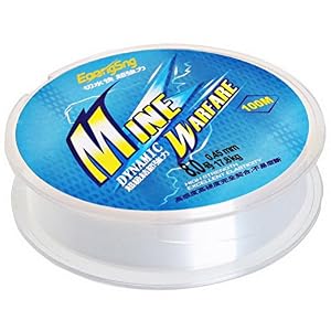 100 Mètres De Ligne De Pêche En Nylon, Borte Monofilament Ligne De Pêche En Nylon Transparent D’environ 8 Mm De Diamètre Ligne De Pêche En Fil De Nylon Clair