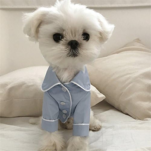 dog silk pajamas
