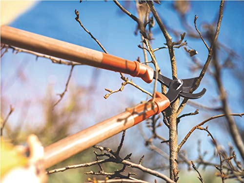 Tramontina Bypass Astschere mit Holzgriffen, Carbonstahl, braun – Bild 5